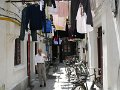 Shanghai (033)